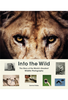 Into the Wild - Humanitas
