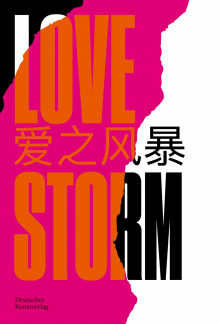 LOVE STORM: Ein interdisziplinäres Kulturprojekt - Humanitas