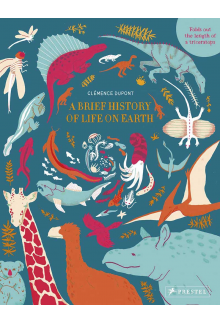 Brief History of Life on Earth - Humanitas