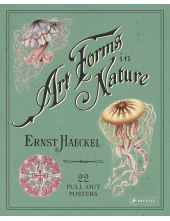 Ernst Haeckel: Art Forms in Nature - Humanitas
