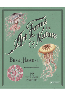 Ernst Haeckel: Art Forms in Nature - Humanitas