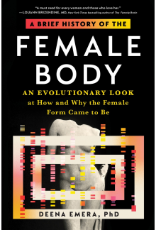 A Brief History of the Female Body: An Evolutionary Look at How and Why the Female Form Came to Be - Humanitas