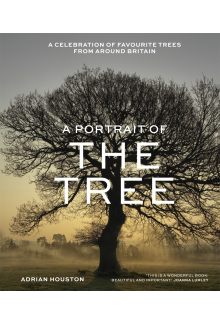 A Portrait of the Tree - Humanitas