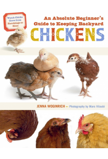 Absolute Beginner's Guide to Keeping Backyard Chickens - Humanitas