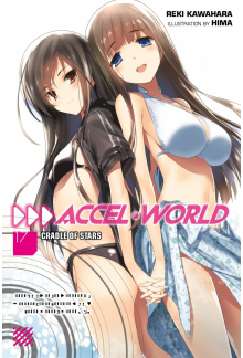 Accel World, Vol. 17 (light novel) - Humanitas