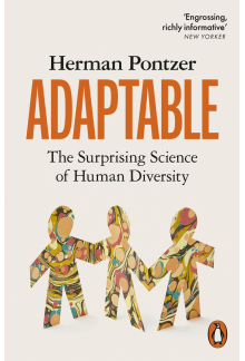 Adaptable - Humanitas