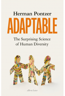 Adaptable - Humanitas