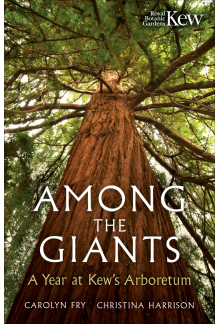 Among the Giants - Humanitas