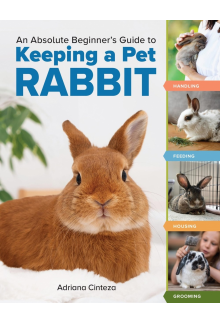 An Absolute Beginner's Guide to Keeping a Pet Rabbit - Humanitas