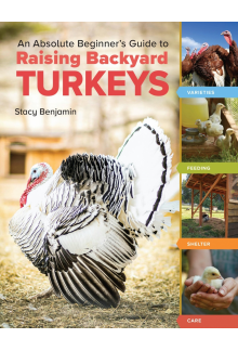 An Absolute Beginner's Guide to Raising Backyard Turkeys - Humanitas