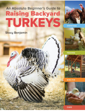 An Absolute Beginner's Guide to Raising Backyard Turkeys - Humanitas