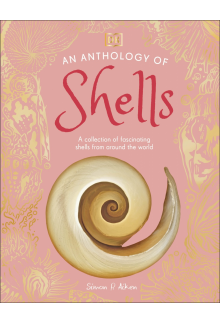An Anthology of Shells: A Collection of Fascinating Shells from Around the World - Humanitas