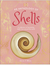 An Anthology of Shells: A Collection of Fascinating Shells from Around the World - Humanitas