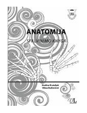 Anatomija. Spalvinimo knyga - Humanitas