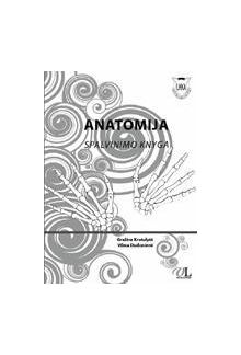 Anatomija. Spalvinimo knyga - Humanitas