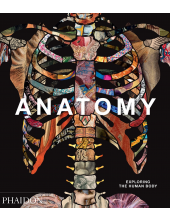 Anatomy: Exploring the HumanBody - Humanitas