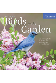 Audubon Birds in the Garden Wall Calendar 2026 - Humanitas