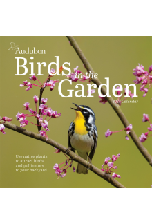 Audubon Birds in the Garden Wall Calendar 2027 - Humanitas