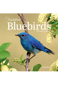 Audubon Bluebirds Mini Wall Calendar 2027 - Humanitas