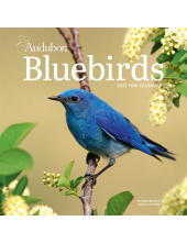 Audubon Bluebirds Mini Wall Calendar 2027 - Humanitas