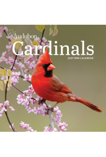 Audubon Cardinals Mini Wall Calendar 2027 - Humanitas