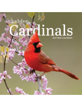Audubon Cardinals Mini Wall Calendar 2027 - Humanitas