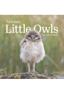 Audubon Little Owls Mini Wall Calendar 2027 - Humanitas