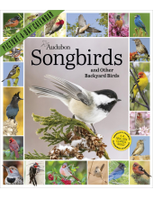 Audubon Songbirds and Other Backyard Birds Picture-A-Day® Wall Calendar 2027 - Humanitas