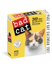 Bad Cat Page-A-Day® Calendar 2027 - Humanitas
