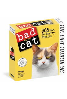 Bad Cat Page-A-Day® Calendar 2027 - Humanitas