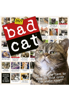 Bad Cat Wall Calendar 2027 - Humanitas