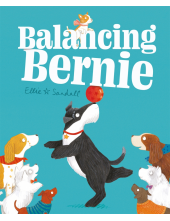 Balancing Bernie - Humanitas