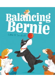 Balancing Bernie - Humanitas