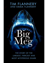 Big Meg - Humanitas