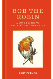 Bob the Robin - Humanitas