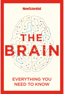 Brain - Humanitas