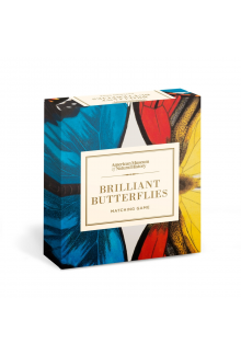 Brilliant Butterflies Matching Game - Humanitas