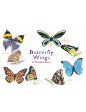 Butterfly Wings - Humanitas