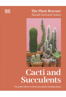 Cacti and Succulents: On-point Advice to Keep Your Plants Looking Sharp - Humanitas