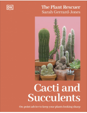 Cacti and Succulents: On-point Advice to Keep Your Plants Looking Sharp - Humanitas