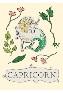 Capricorn - Humanitas