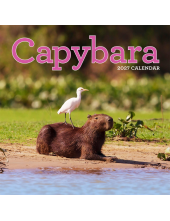 Capybara Wall Calendar 2027 - Humanitas