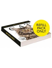 Cat Page-A-Day® Gallery Calendar Refill Pack 2027 - Humanitas