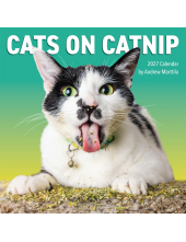 Cats on Catnip Wall Calendar 2027 - Humanitas