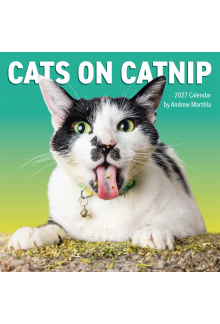 Cats on Catnip Wall Calendar 2027 - Humanitas