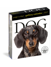 Dog Page-A-Day® Gallery Calendar 2027 - Humanitas