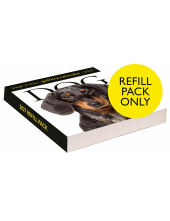 Dog Page-A-Day® Gallery Calendar Refill Pack 2027 - Humanitas