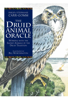 Druid Animal Oracle - Humanitas
