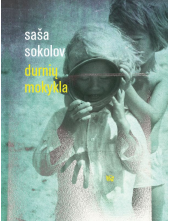 Durnių mokykla - Humanitas