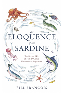 Eloquence of the Sardine - Humanitas